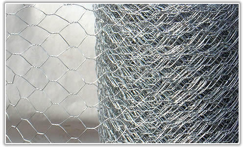 50m Hexagonal Wire Mesh Roll (25mm holes)