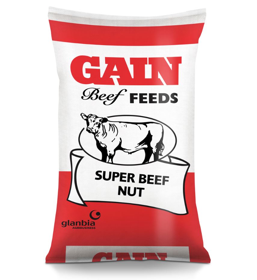 Gain Super Beef Nuts 25kg